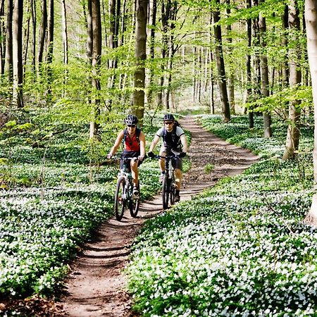 Vakantiehuis In Een Prachtige Bosrijke Omgeving In Twente! Bornerbroek Экстерьер фото