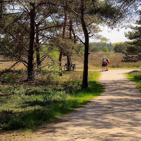 Vakantiehuis In Een Prachtige Bosrijke Omgeving In Twente! Bornerbroek Экстерьер фото