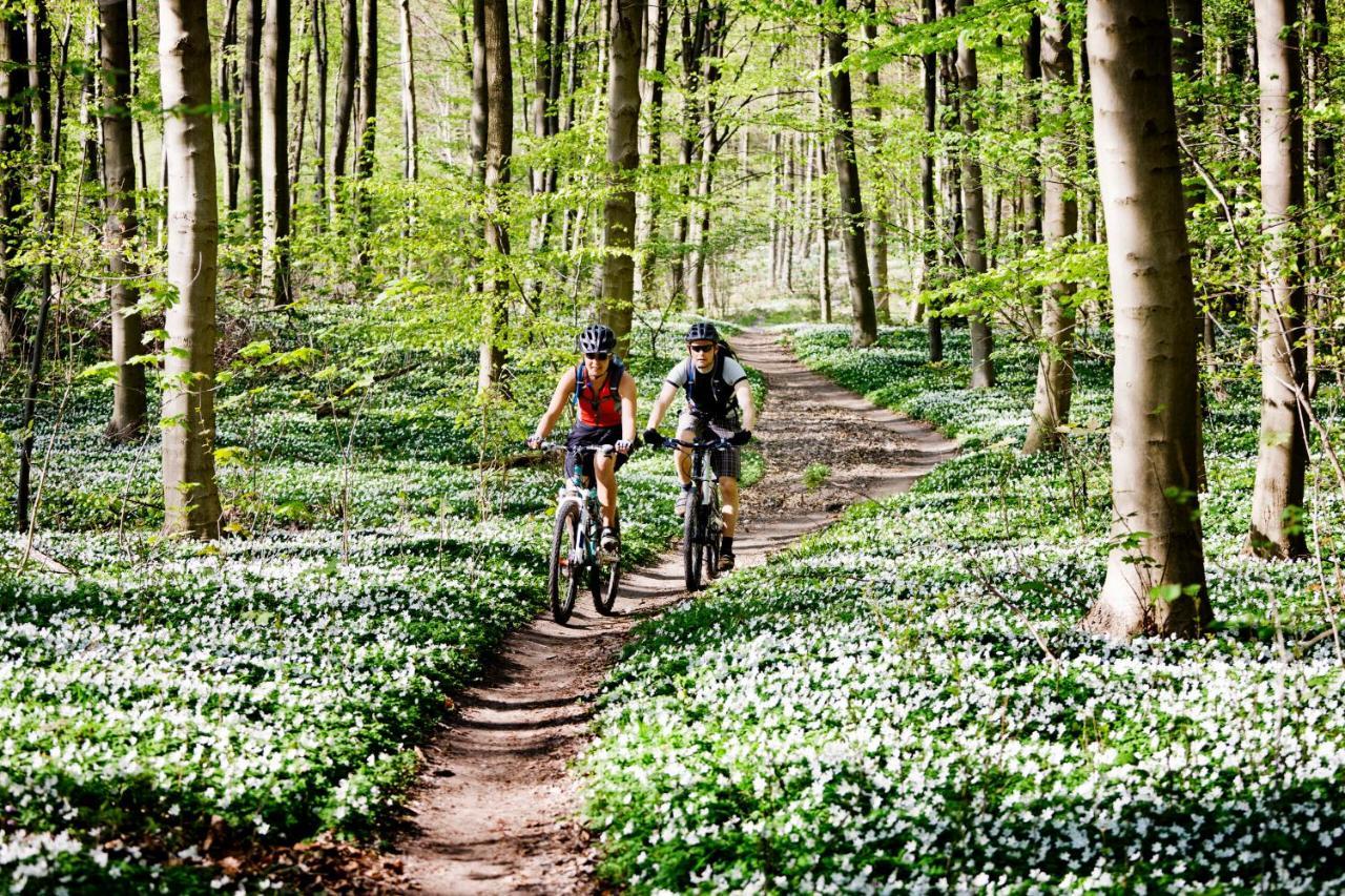 Vakantiehuis In Een Prachtige Bosrijke Omgeving In Twente! Bornerbroek Экстерьер фото