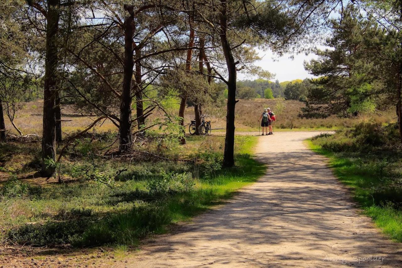 Vakantiehuis In Een Prachtige Bosrijke Omgeving In Twente! Bornerbroek Экстерьер фото